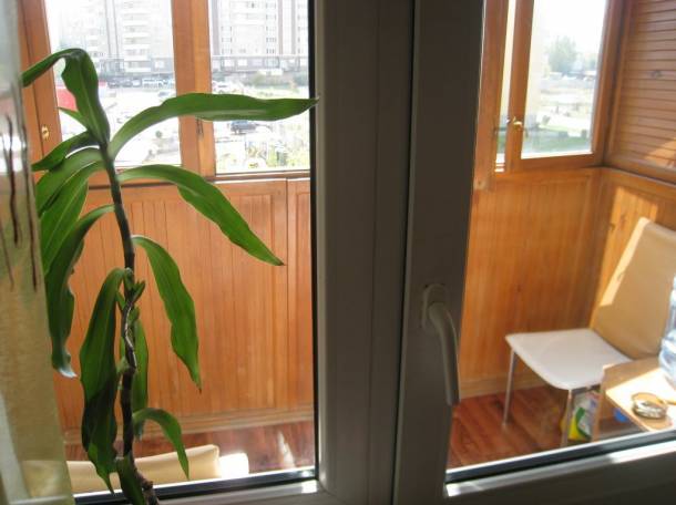 Продам 1-комн квартиру в мкр.Жетысу-2, евроремонт, с мебелью, 51000, фотография 7