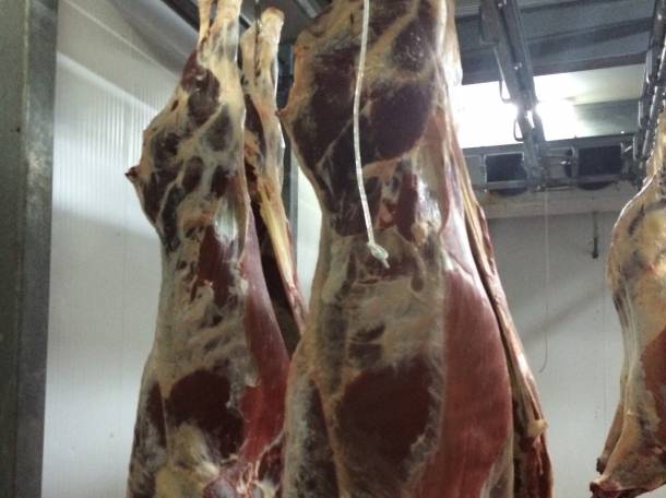 Мясо говядины высокого качества, фотография 2