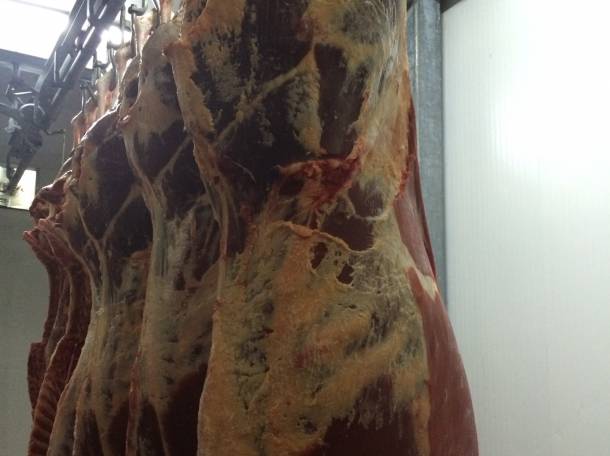 Мясо говядины высокого качества, фотография 3