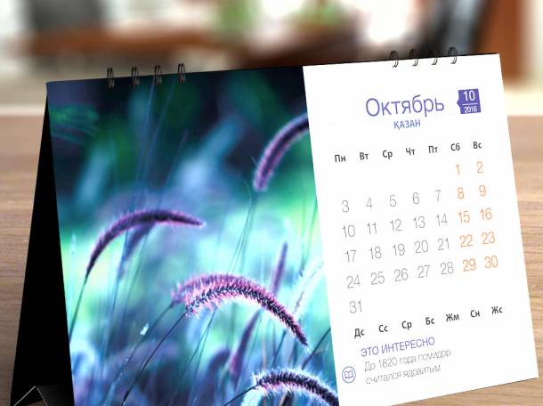 Дизайнерские услуги в Алматы, фотография 3