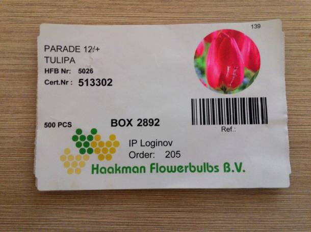 Тюльпаны оптом и в розницу Алматы, фотография 8