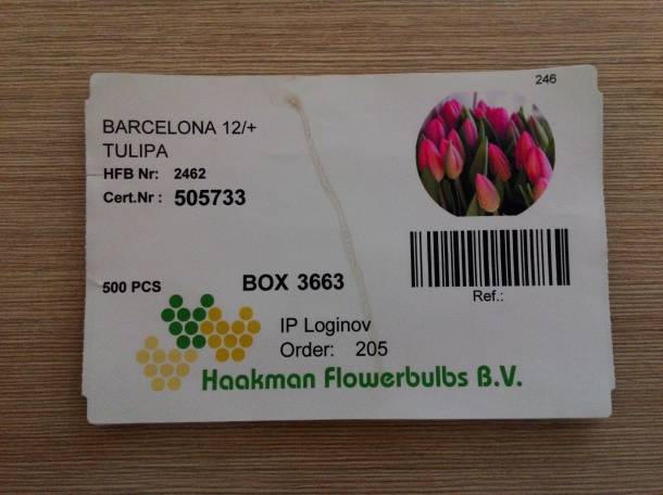 Тюльпаны оптом и в розницу Алматы, фотография 10