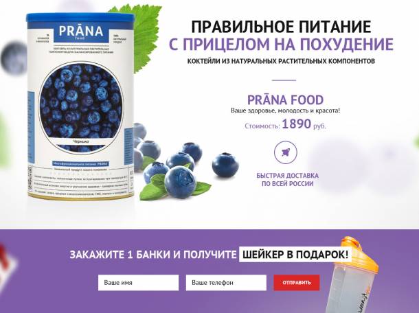 Landing page под ключ! Адаптивный премиум дизайн! (лендинг, LP, сайт), фотография 1