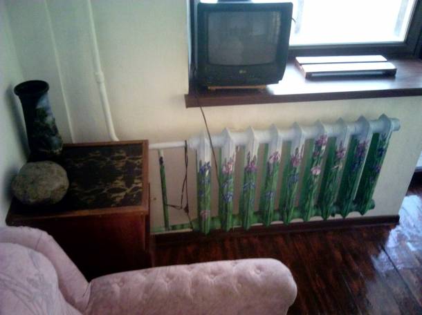 сдача в аренду 1-комнатной квартиры, Турксибский район \район ВАЗа- остановка магазин Чайка, фотография 2