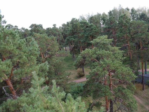 элитные участки, курорт Бурабай, фотография 4