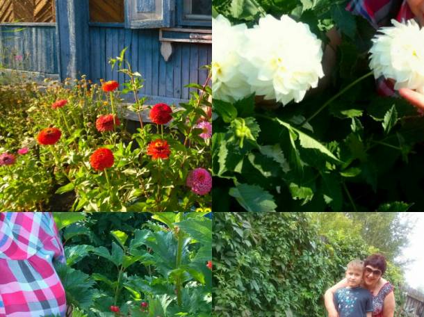 Продам или обменяю, фотография 1