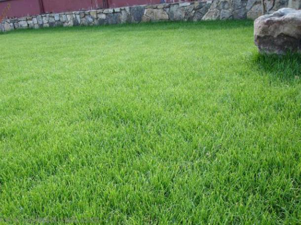 Благоустройство, фотография 1