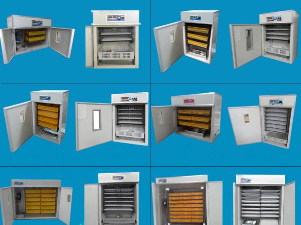 Инкубаторы промышленные в наличии и на заказ!, фотография 1