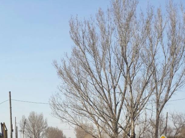 Участок Теректы за 5 700 000 тенге в городе, фотография 2