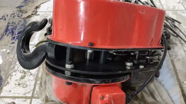 Таль электрическая цепная, фотография 2