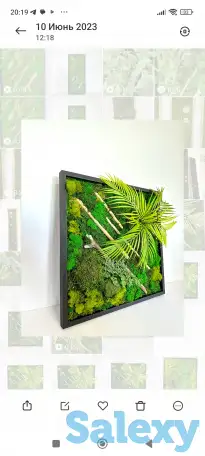 Картина из стабилизированного мха., фотография 1