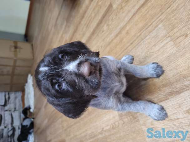 Продам, фотография 1