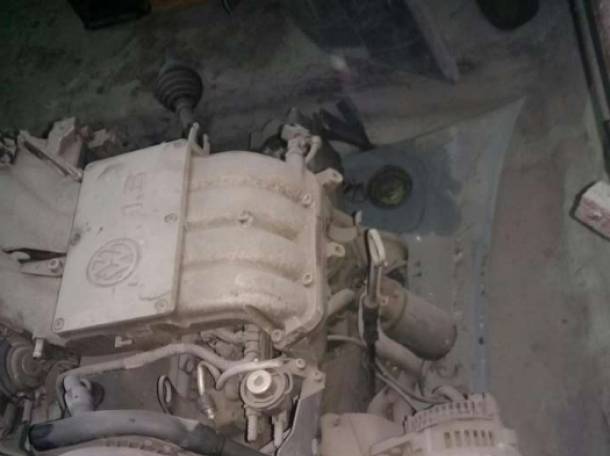 Услуги костоправа, маляра , фотография 4