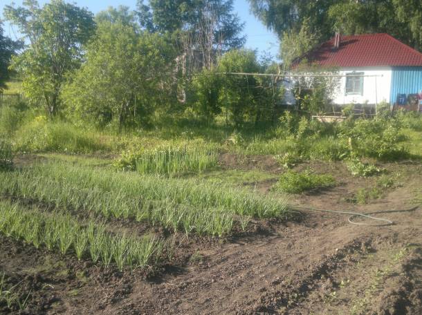 Дом в Белокаменке, Белокаменка, фотография 3