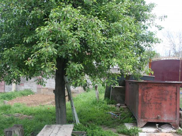 Обмен дома, Илийский район, от Камаз Центра 5-6 км, первомайские пруды дача Ардагер Ветеран., фотография 4