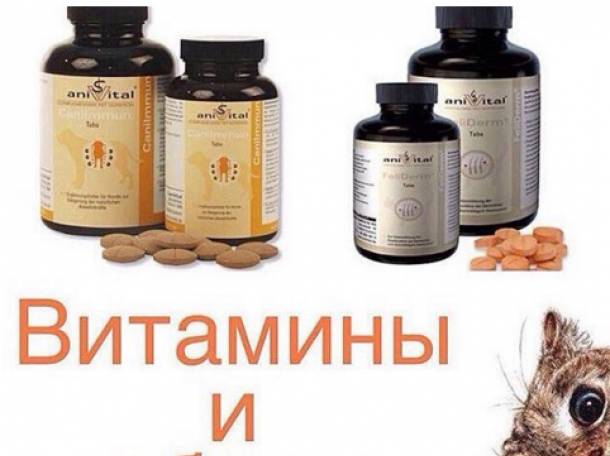 Зоотовары в Алматы, фотография 2