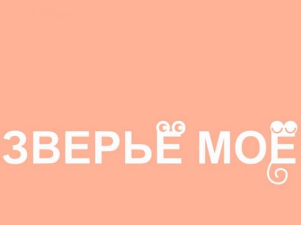 Зоотовары в Алматы, фотография 3