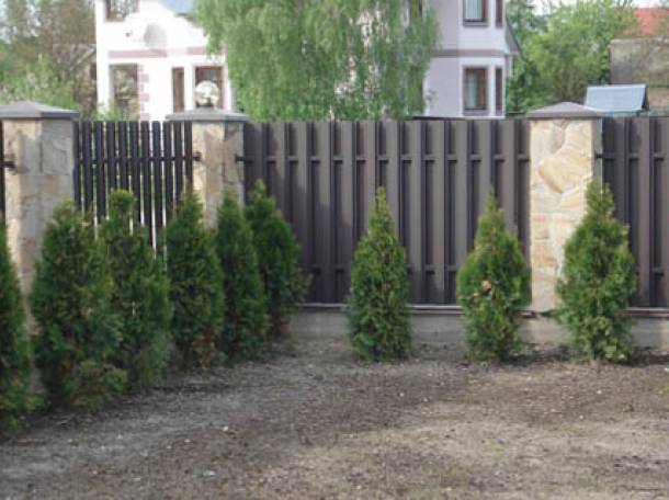 Евроштакетник, фотография 5