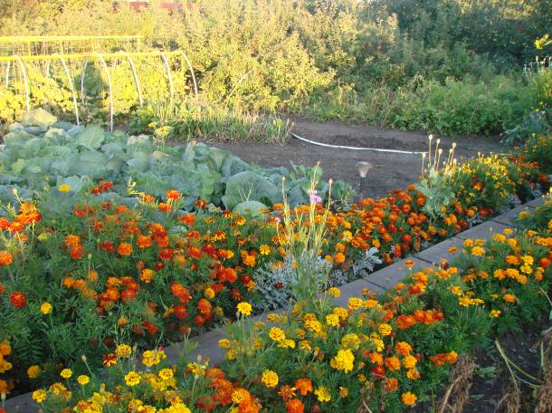 Продам или обменяю отличный дом, с.петерфельд, фотография 4