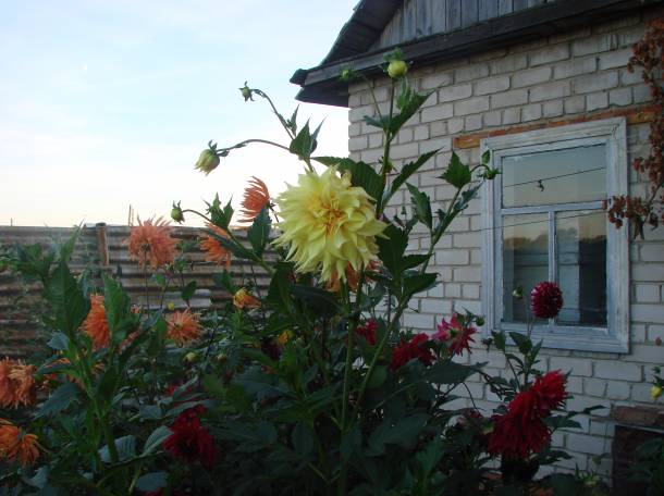 Продам или обменяю отличный дом, с.петерфельд, фотография 5