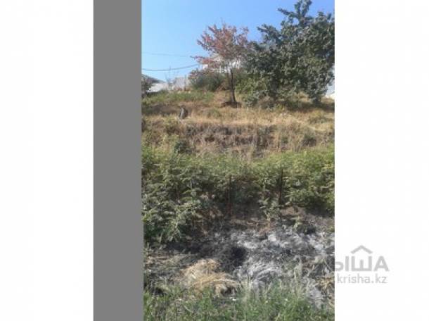 Продам участок в экологичном районе, Мкр. Ремизовка, сан.Коктем, дом№257, фотография 2