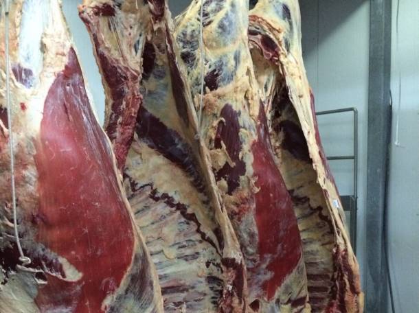 Мясо говядины высокого качества, фотография 1