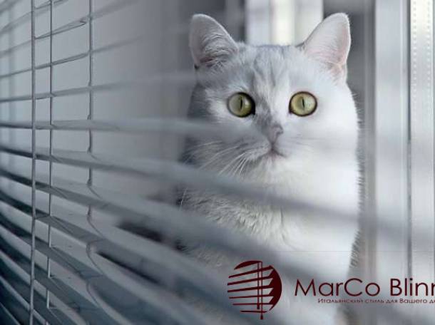 Жалюзи вертикальные тканевые, фотография 3