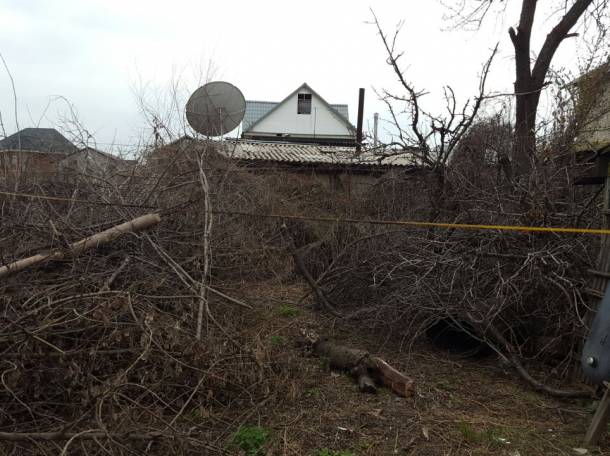 Спил деревьев в Алматы и Алматинской области!!!, фотография 2