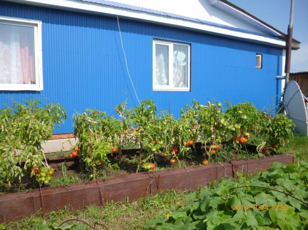 Продам дом в России, юг Тюменской области рядом с Казахстаном, фотография 2