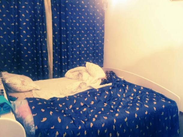 Ищем одну или двух девушек в комнатув квартире!, Казыбек би 183, фотография 2