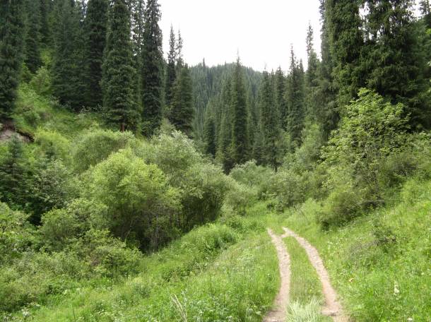 Незабываемые туры на Кольсайские озера!, фотография 5