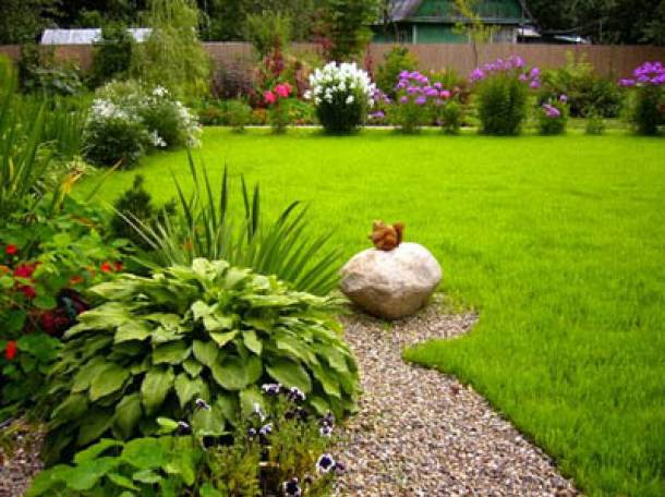 Посадка газона,плодовых деревьев,корневых роз (под любой дизайн) , фотография 2