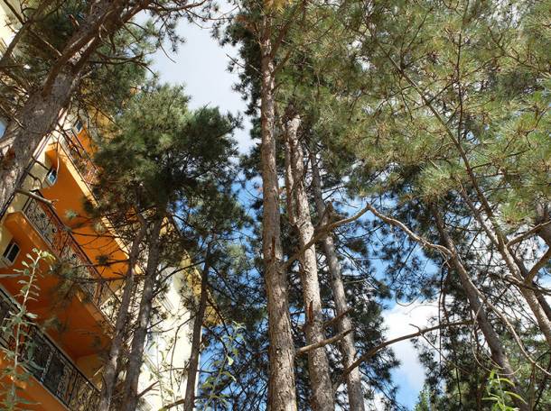  Апартаменты в Болгарии на море от застройщика. Доступные цены!, фотография 7