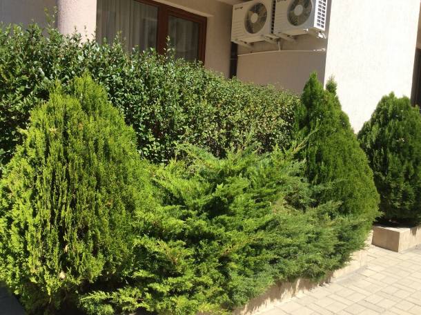 Комплекс МАРВЕЛ 1 в Болгарии,большие квартиры по низким ценам! Без посредников!, фотография 4