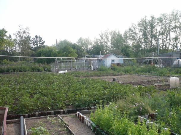 Продам дом в дачном участке, фотография 8