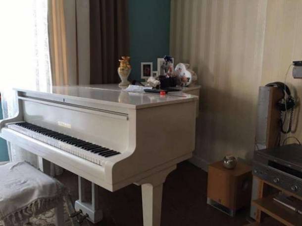 Настройка рояля, пианино,предосмотр перед покупкой и ремонт, фотография 1