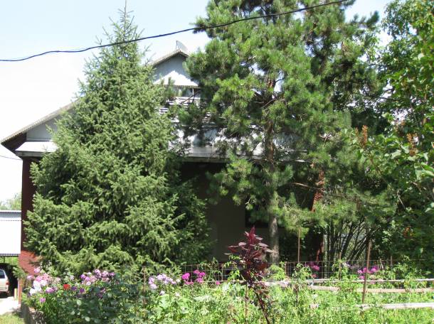 Дом 8 соток, фотография 1