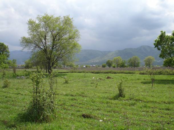 земельный участок Алматинская обл. 6 соток, фотография 3