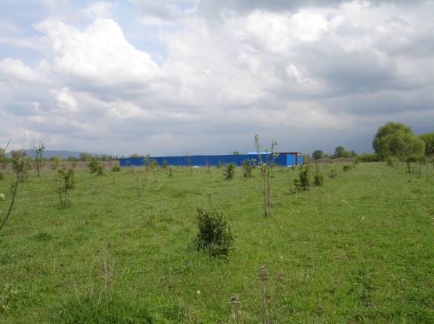 земельный участок Алматинская обл. 6 соток, фотография 4