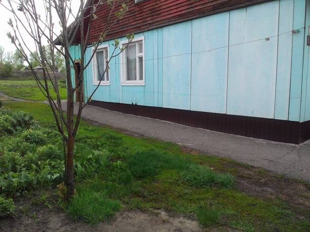 продам дом в алтайском крае, алтайский край с. усть пристанский рн. с.усть пристань, фотография 1