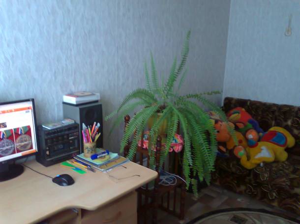 продам дом в алтайском крае, алтайский край с. усть пристанский рн. с.усть пристань, фотография 5