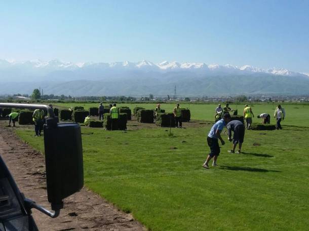 укладка газона, фотография 2