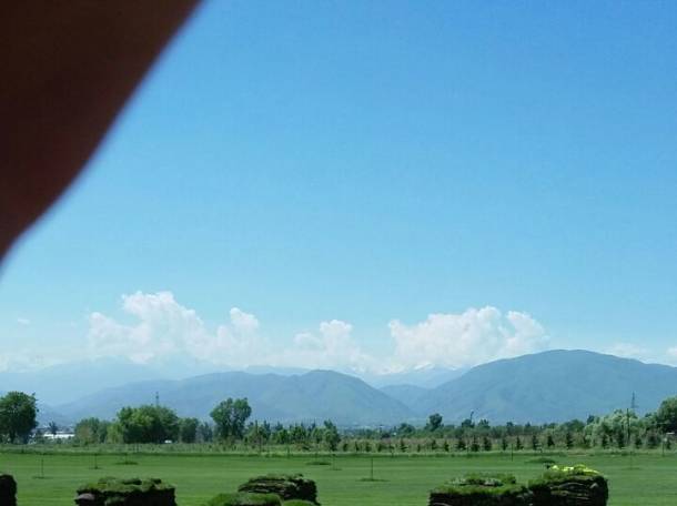 укладка газона, фотография 4