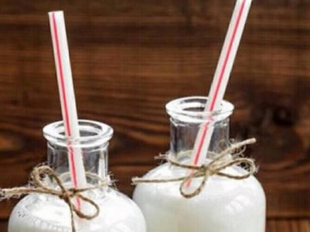 Продам козье молоко оптом и в розницу, фотография 1