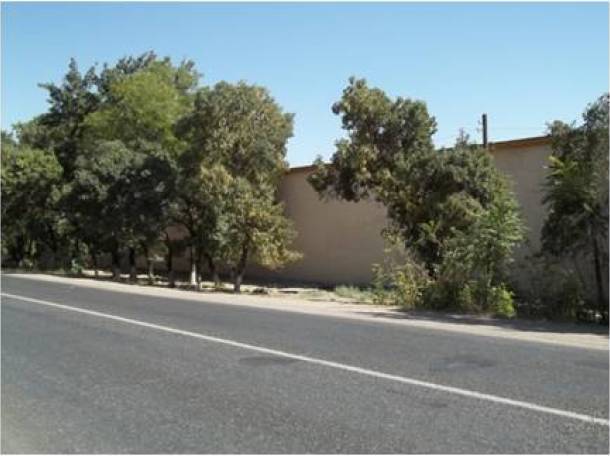 Продам овощехранилище, трасса Ташкент-Шымкент, фотография 1