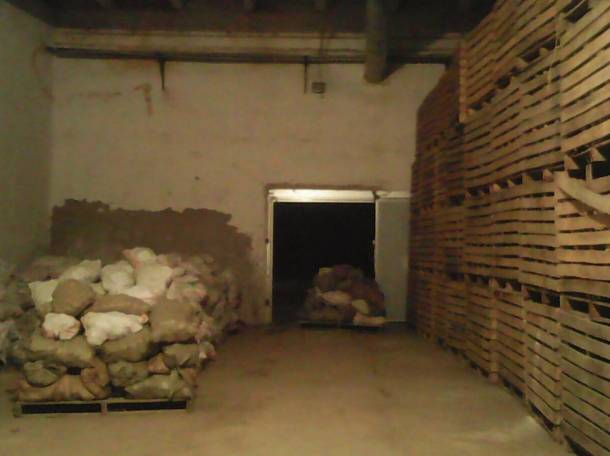 Продам овощехранилище, трасса Ташкент-Шымкент, фотография 5