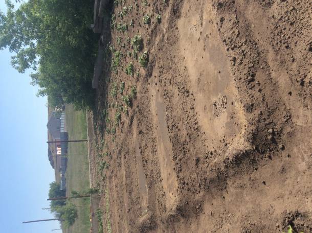 Продам коттедж в г.Темиртау, фотография 5