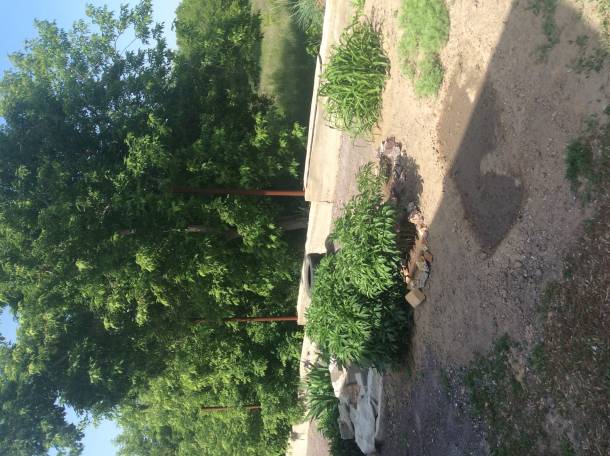 Продам коттедж в г.Темиртау, фотография 8