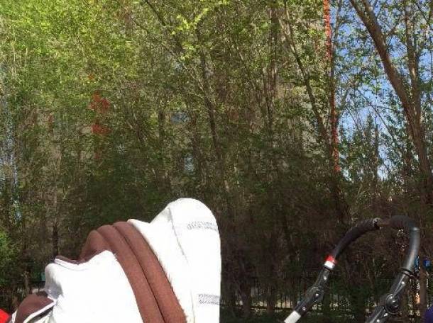 Коляска Verdi Merc 5, фотография 1