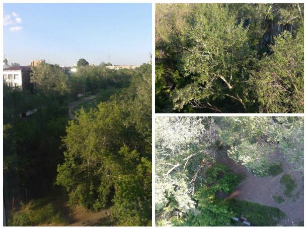 Срочно продам 3-х комнатную или обменяю на недвижимость в Калининграде или области , фотография 2